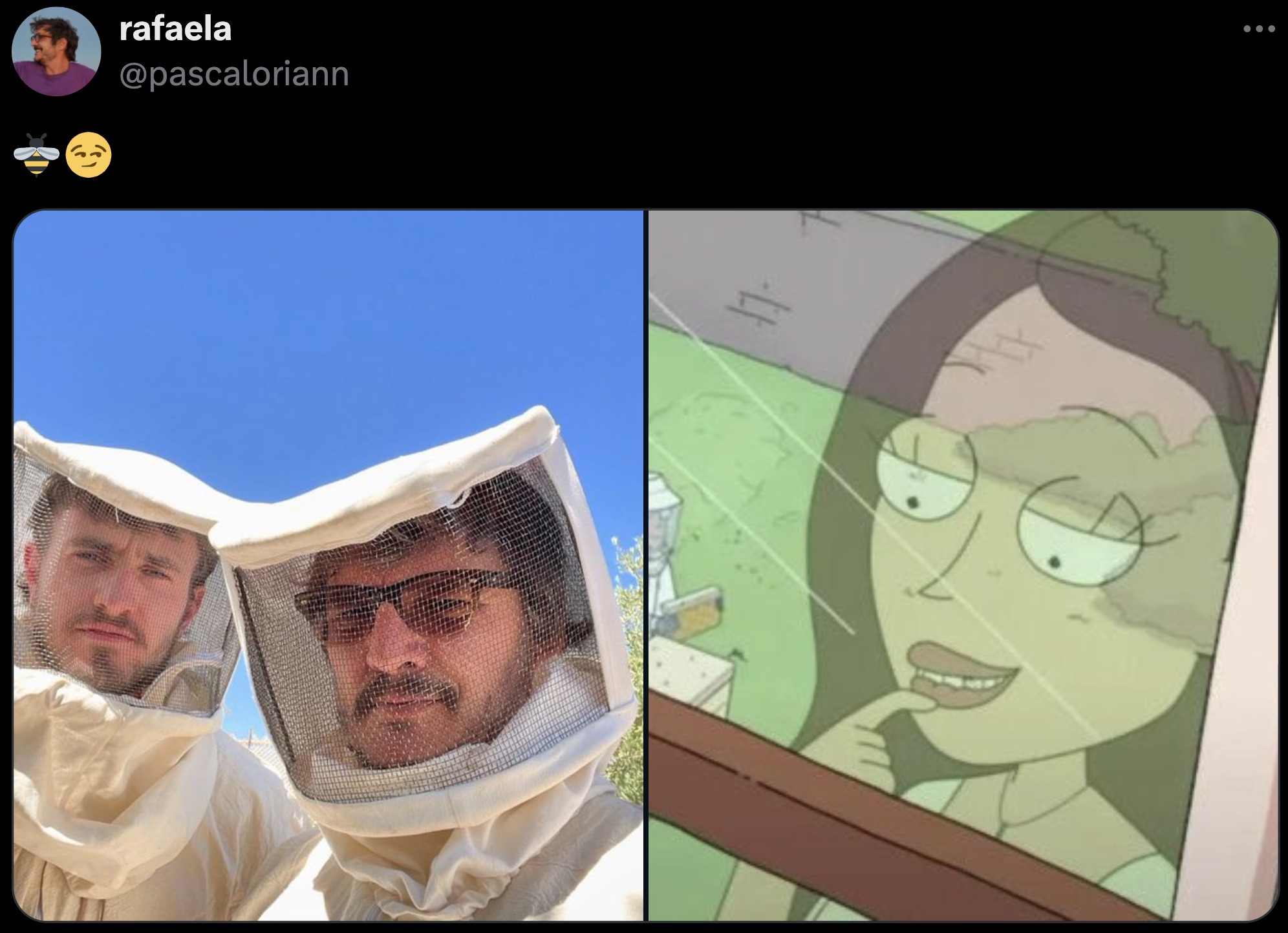 rick and morty your dad keeps bees - rafaela